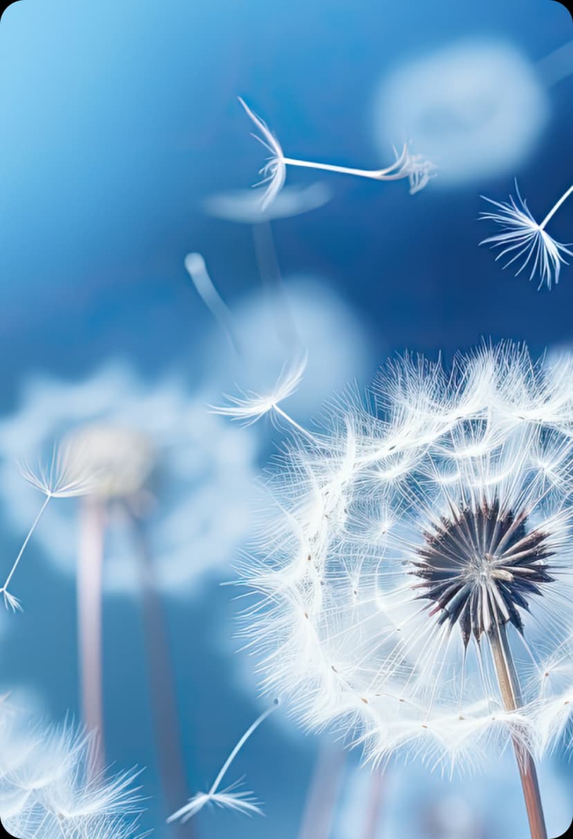 Diente de león con semillas volando en el aire, simbolizando la eficiencia energética